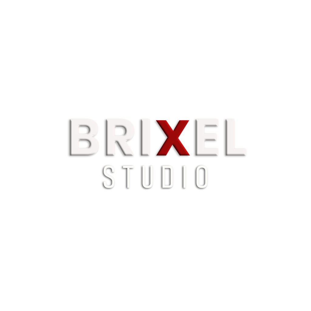 Brixel Studio | Digital Marketing Agency in Chennai